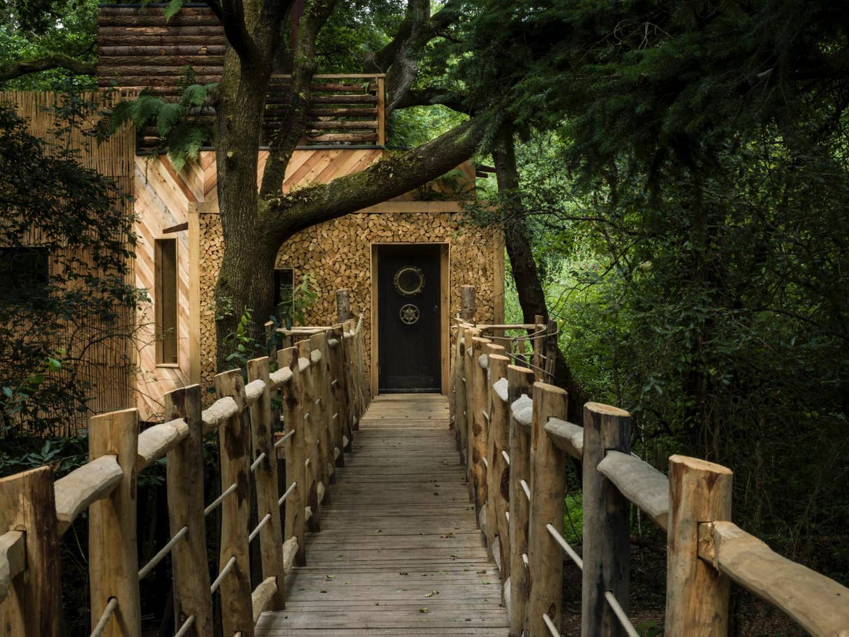 The woodsman's treehouse boardwalk