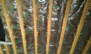 SF40 Foil Insulation