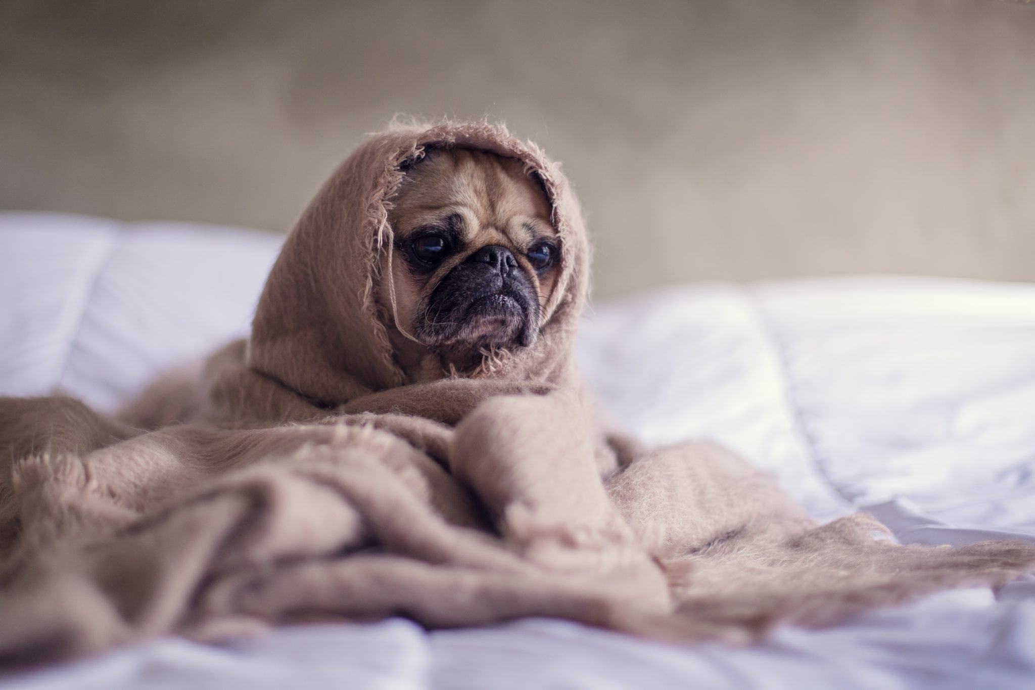When is Insulation Required