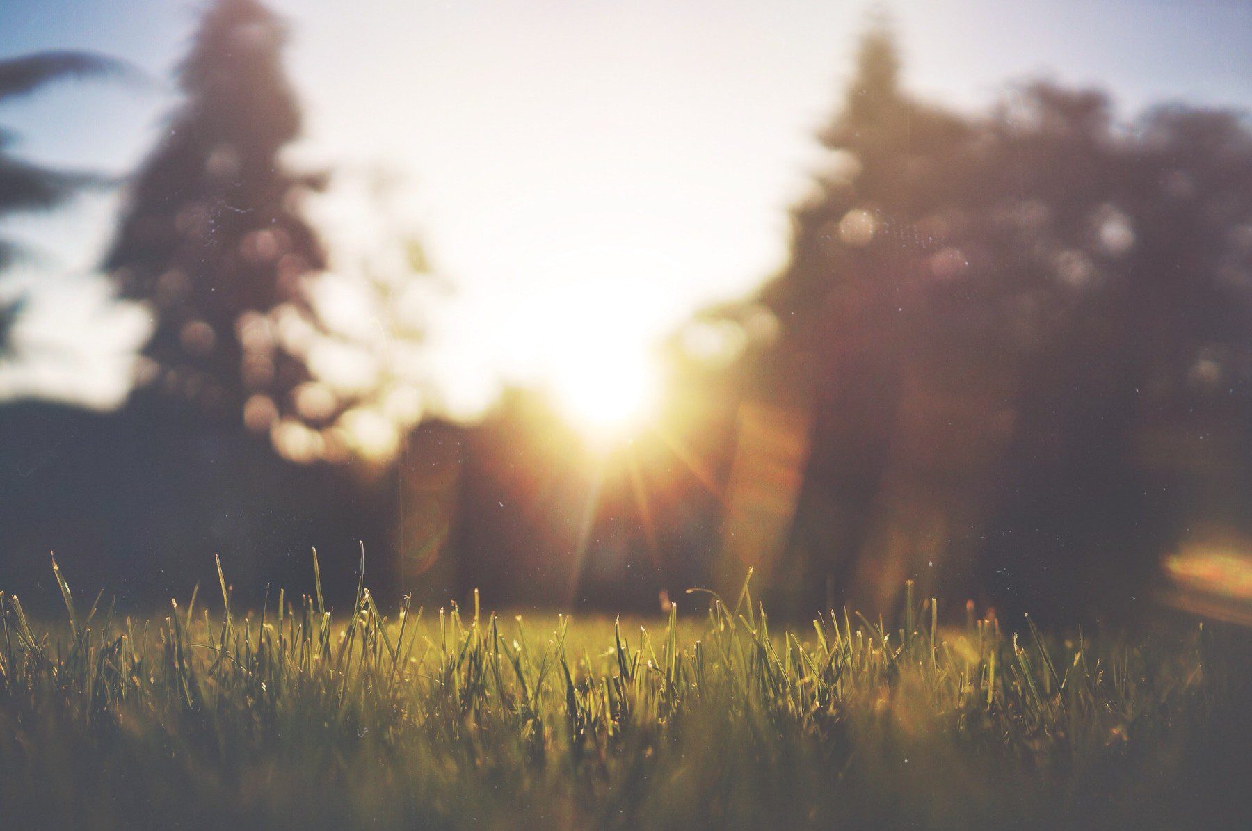 Summer Sunset