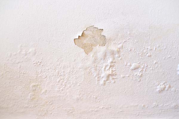 Damp Wall